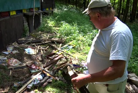 [multi] Medveď opäť vyčíňal neďaleko Prievidze. Včelárovi zničil úle 4234