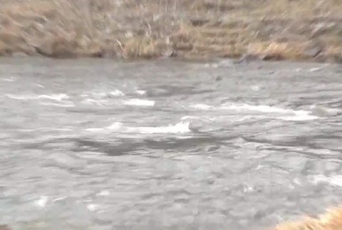 Na prešovskom sídlisku našli mŕtveho muža. Časť tela mal ponorenú vo vode