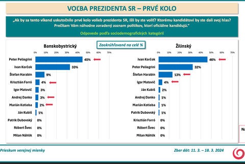Snímka obrazovky 2024-03-19 o 16.55.07