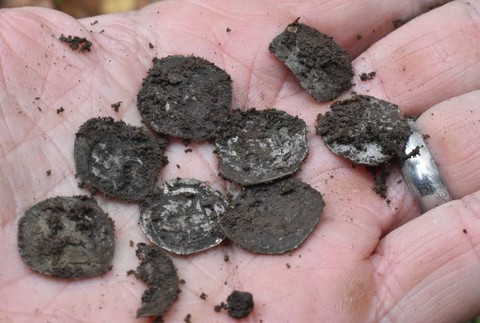 Pod vyvráteným stromom pri Piešťanoch našiel turista strieborný poklad zo stredoveku