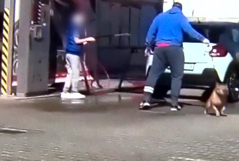 [multi] Muž umýval psa v autoumyvárni. Podľa veterinára môže ísť o týranie 1951