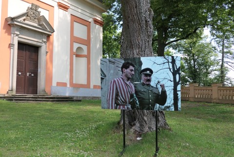 zelená hora