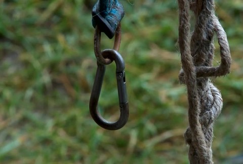 Trestný rozkaz pre psa887