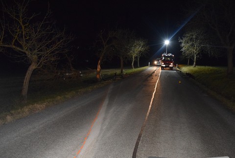 Vodič narazil do stromu