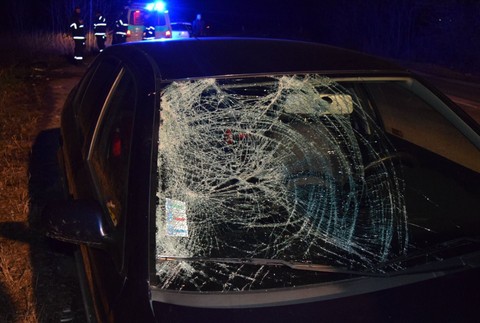 Tragická nehoda pri Šuranoch. Muž (53) vystúpil z auta a ihneď ho zrazilo auto 