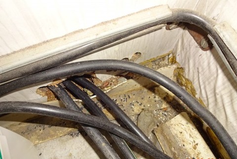 Zanedbaná hygiena či kontaminované potraviny. Čo všetko ukazujú výsledky kontrol potravín