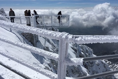 Lomničák, máj, mrazy