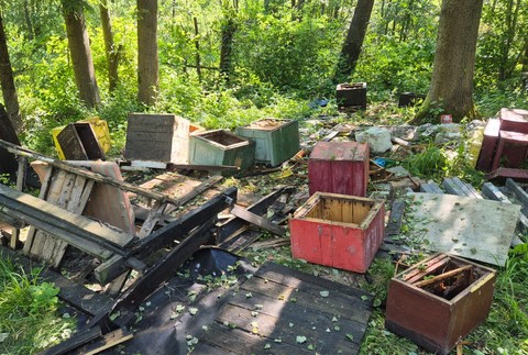 Medveď zničil úle (2)