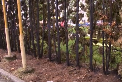 Hasiči bojovali s požiarom stromov pri ihrisku. Podpálil ich pritom iba 8-ročný chlapec