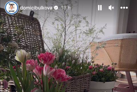 Takéto prekvapenie čakalo Dominiku po príchode z pôrodnice