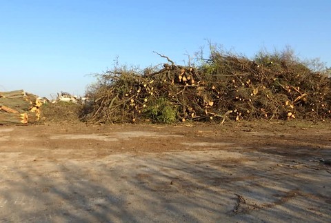 Žiadal vyrúbať päť stromov, namiesto nich padli stovky. Škody na chránenom území rieši polícia6649