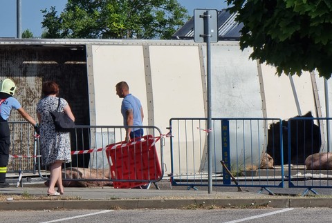 WhatsApp Image 2023-07-20 at 08.37.03