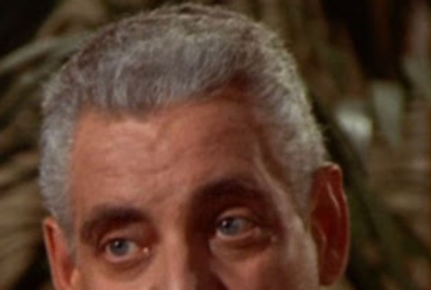 Peter Van Norden