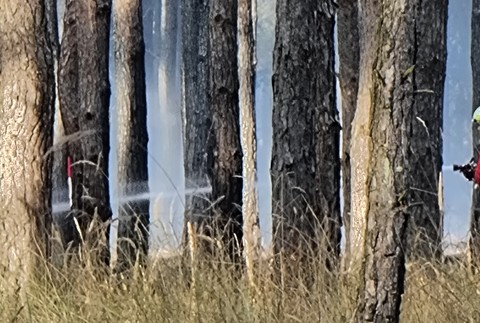 WhatsApp Image 2024-09-03 at 17.09.27