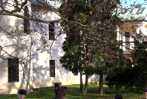 KN Znásilnenie chovanca3868