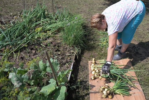 Mnisek02_11_7_2024056902