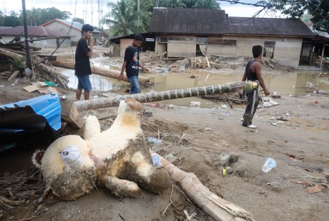 záplavy v južnej a juhovýchodnej Ázii (1)