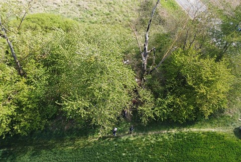 NAKA ukončila akciu Kamiben. Telo ženy našli zakopané 100 km od miesta, kde bývala