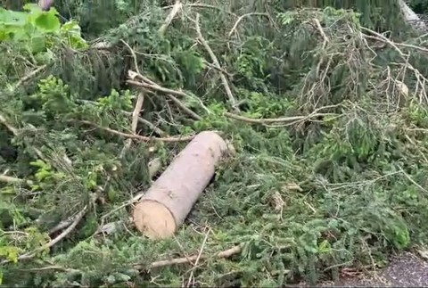 [multi] Kysuce Kalamita 7327