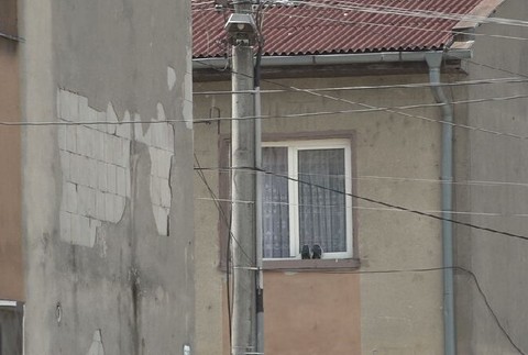 Prípad sexuálneho zneužívania na východe Slovenska (5)