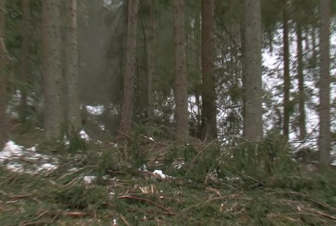 Na Orave po víchrici padli celé lesy. Ostali len holé kopce