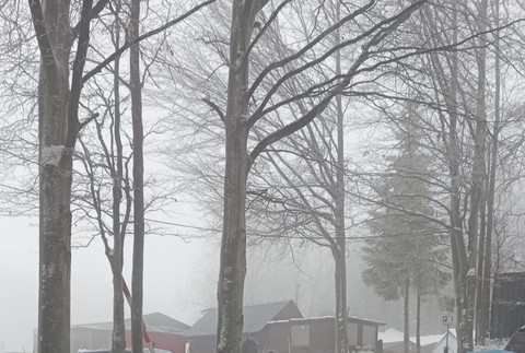 WhatsApp-Image-2022-12-21-at-12.04.51