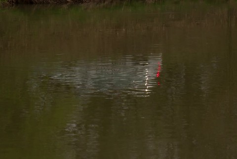 [multi] zapichnuty vo vahu 168