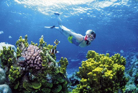 Veľký bariérový útes