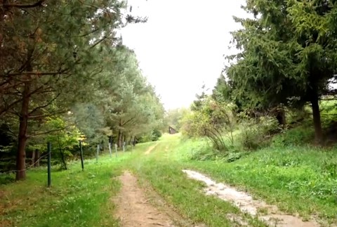 Chlapec sa plazil niekoľko metrov, aby zavolal pomoc.