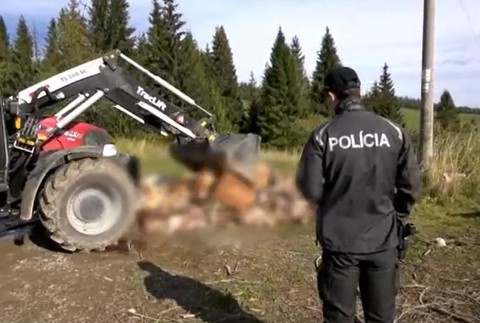 Odpad z poľských kafilérií 2