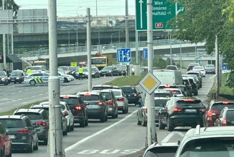 kolony bajkalska (2)