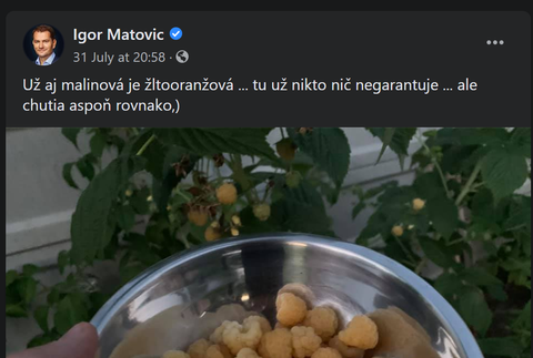 Politici na sociálnych sieťach