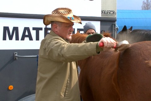 Farmári na koňoch do Bratislavy