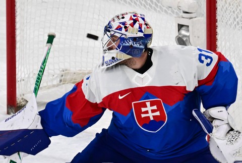 20262102_zoh_finsko_slovensko_23196280