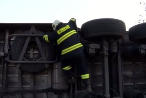 Havária kamiónu. Stovky prasiat zostali uväznené