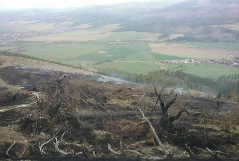 Hasiči pokračujú v hasení požiaru lesa, ktorý zasiahol 9 hektárov 