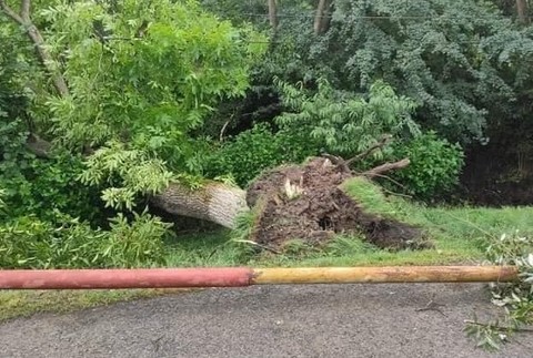 Tornádo na východe Slovenska v obci Petkovce