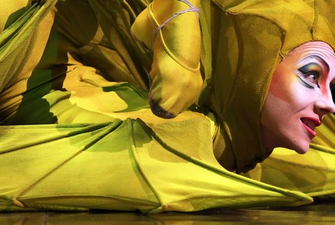 Cirque du Soleil 2