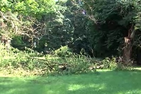 Nočná veterná smršť v Humennom.