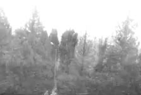 FOTOGALÉRIA: Slovensku vládne aprílové počasie. Modré nebo vystriedali snehové metelice90