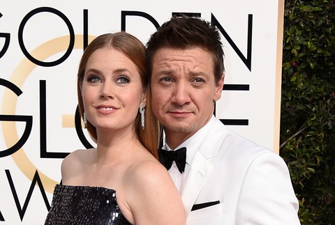 The_74th_Annual_Golden_Globe_Awards_-_Arrivals_91395-275759e959e443a0bfc4ad4a8640ccb2