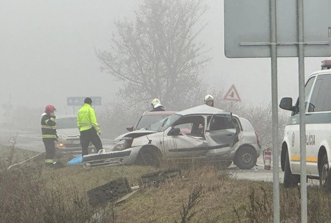 WhatsApp Image 2023-12-31 at 11.48.22