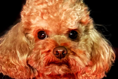 Screenshot_2020-07-23 Orlando Bloom ( orlandobloom) • Fotky a videá na Instagrame(3)