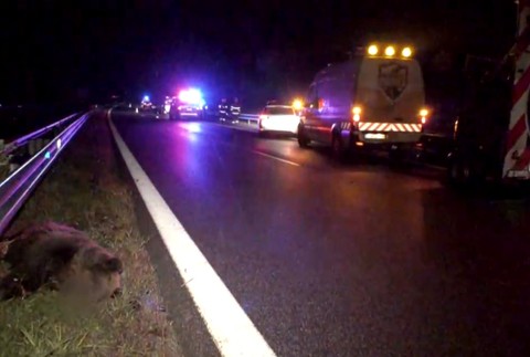 Nehoda sa stala na R1 za Zvolenom.