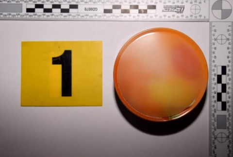 Návšteva polície na strednej škole skončila obvinením 15-ročného dievčaťa