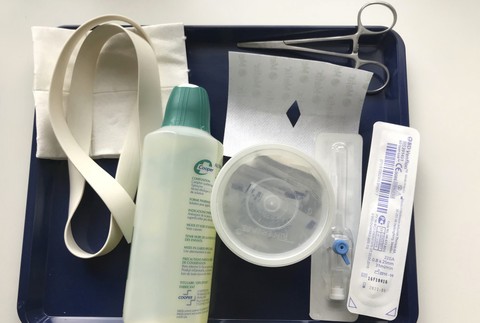 David Goodall, smrť, Švajčiarsko