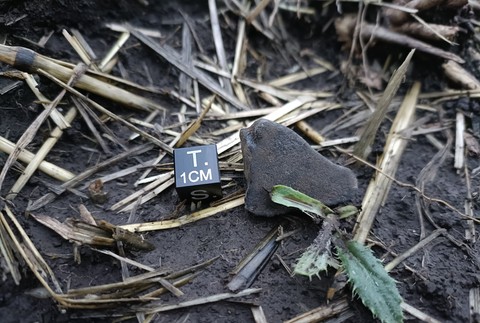 307993353_1520670975053759_5855248827322577351_n