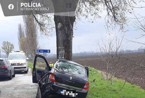 340425434_6247723805291923_5136332736315689370_n