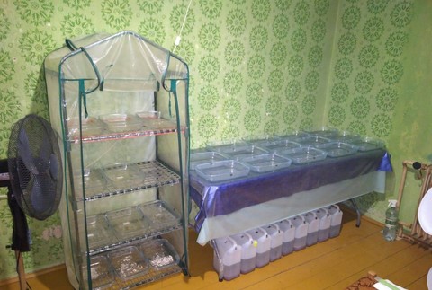 NAKA zasahuje v okolí Banskej Bystrice. Zaistili veľké množstvo drog