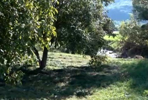 Dôchodca a útok kosou 